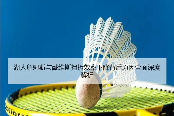 湖人詹姆斯与戴维斯挡拆效率下降背后原因全面深度解析